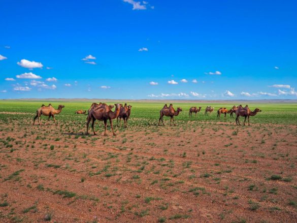 Tsagaan Suvarga