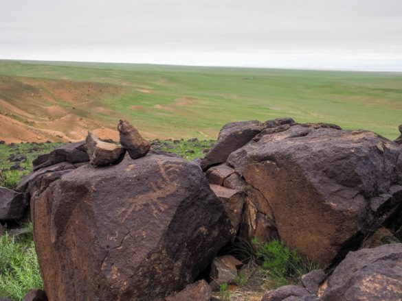 Gobi