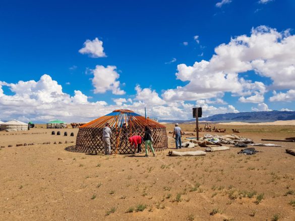 Gobi