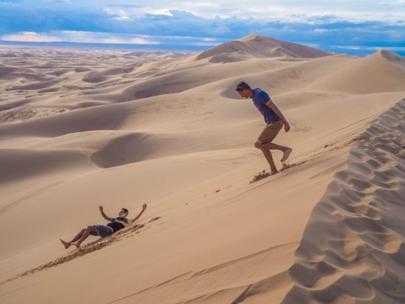 Gobi