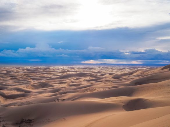 Gobi