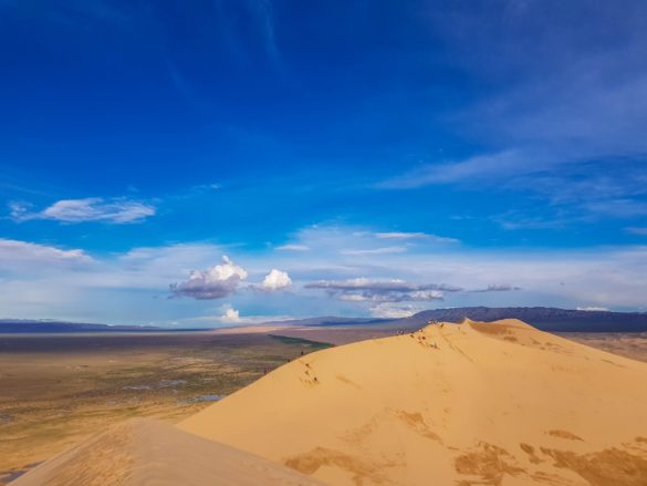 Gobi