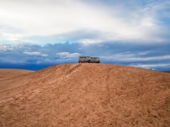 Gobi