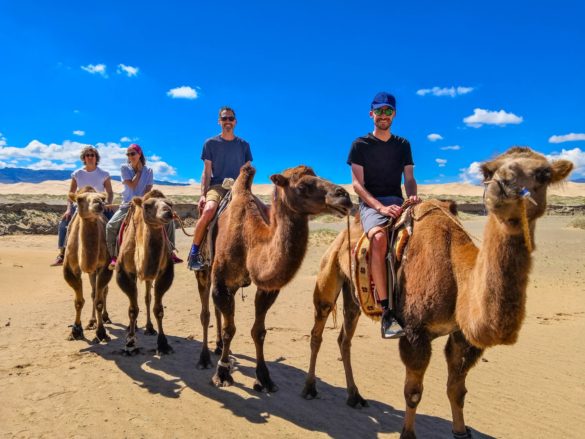 Gobi