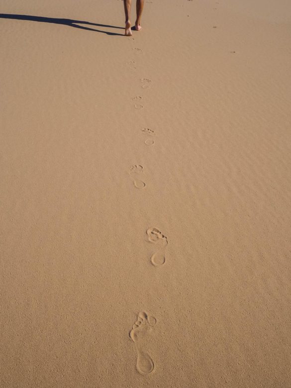 Gobi