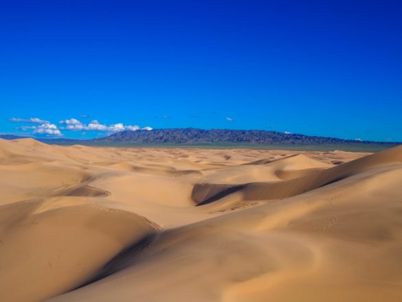 Gobi