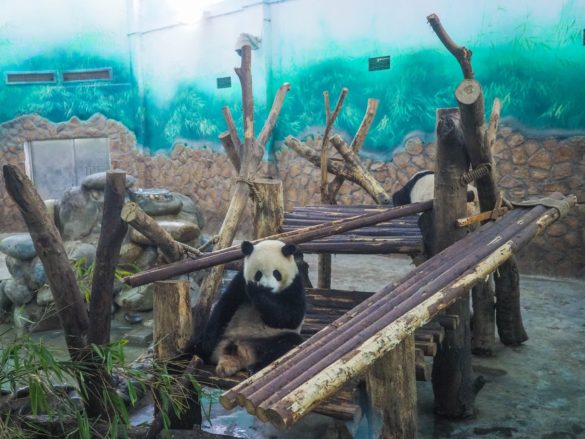 Xian and Chengdu