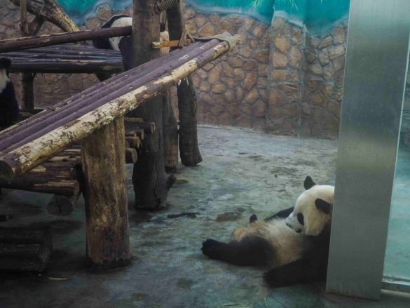 Xian and Chengdu