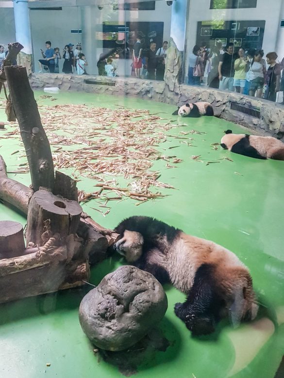Xian and Chengdu