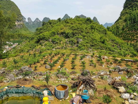 Li river