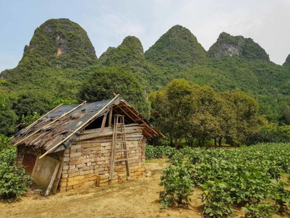 Li river