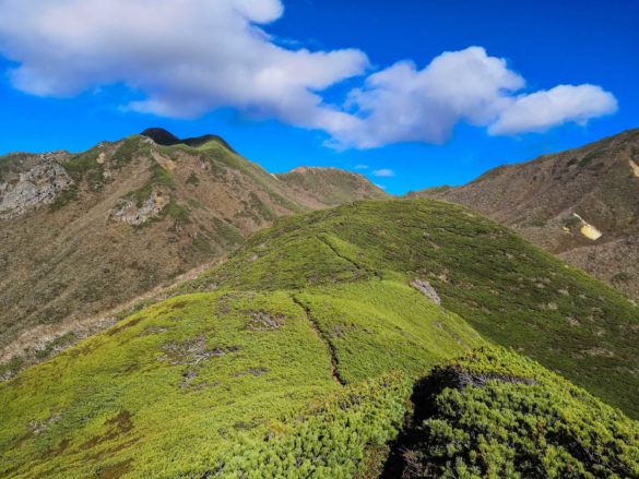 Mount Shari