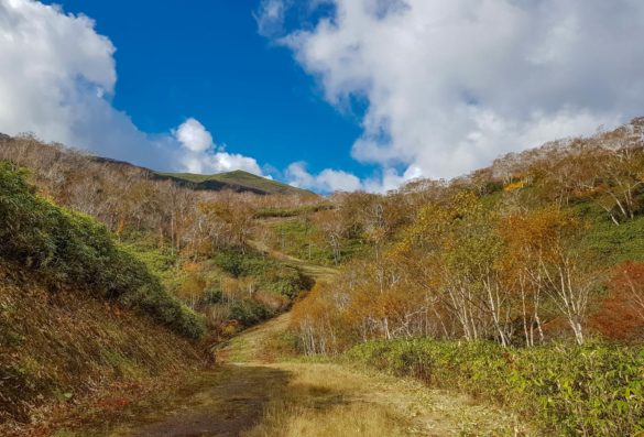 Niseko