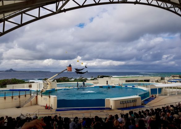 Okinawa