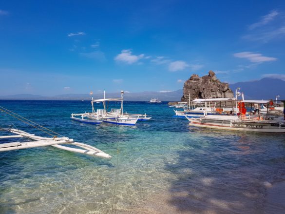 Apo Island
