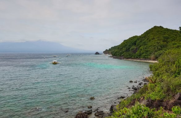 Apo Island