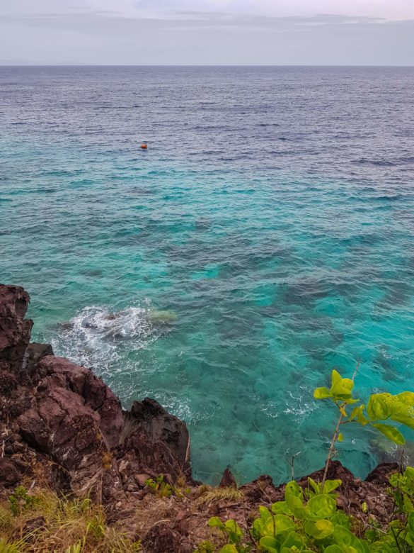 Apo Island