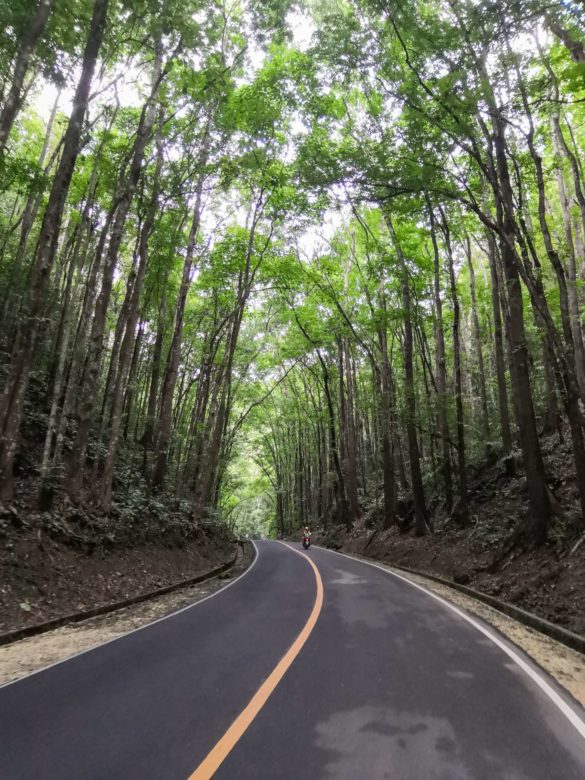 Bohol