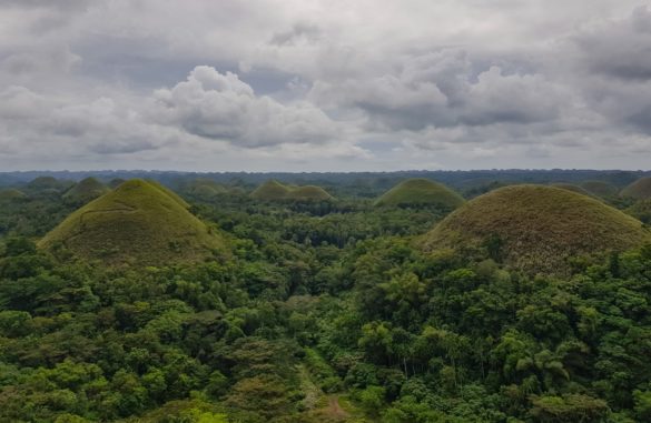 Chocolate Hills