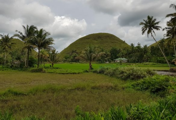 Chocolate Hills