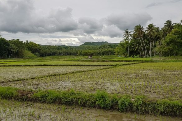 Siquijor