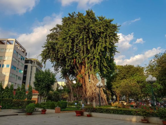 HCMC