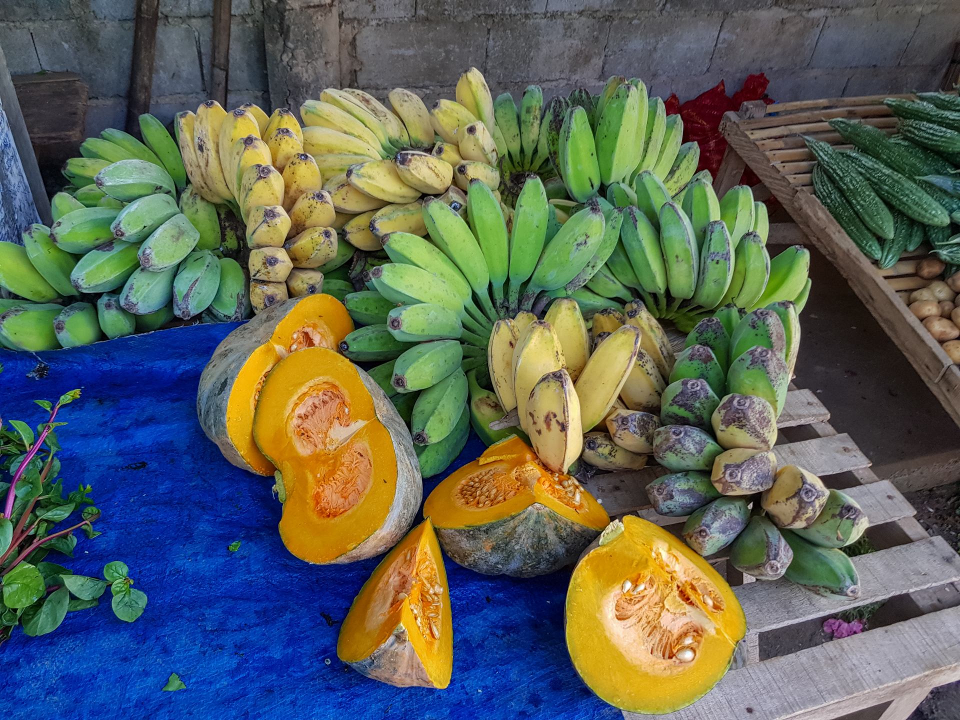 Fruits