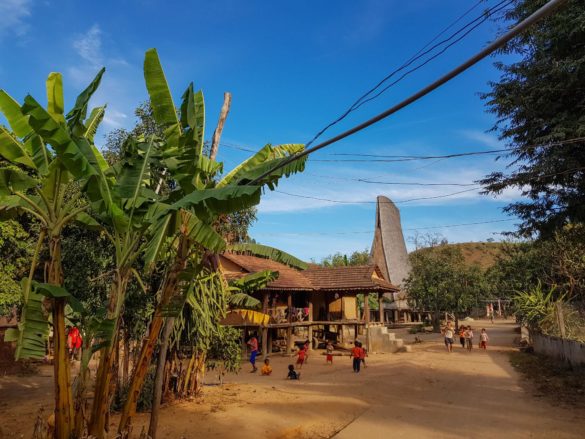 Kon Kotu
