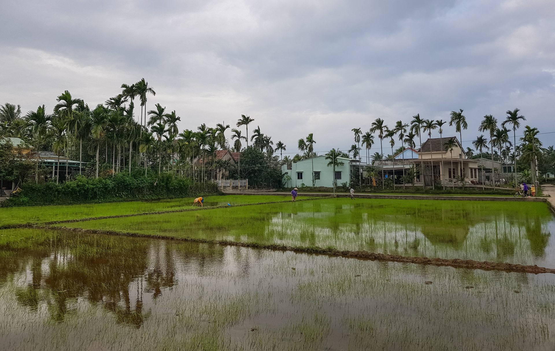 Vietnam