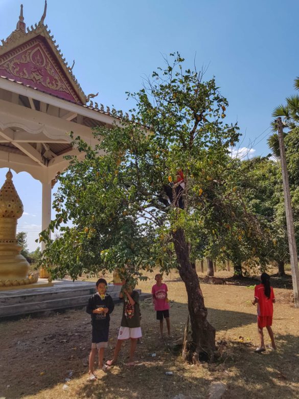 Wat Phu