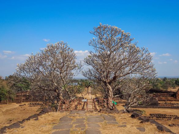 Wat Phu