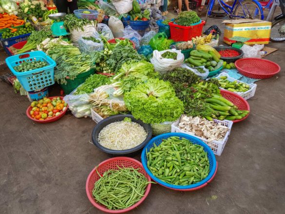 Stung Treng