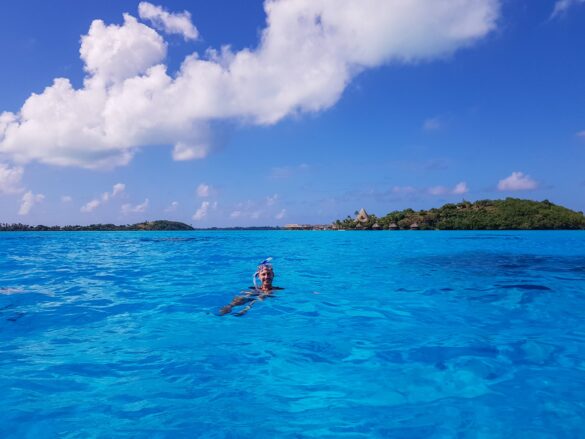 Snorkelling